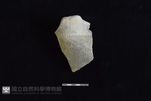 陶罐藏品圖，第1張