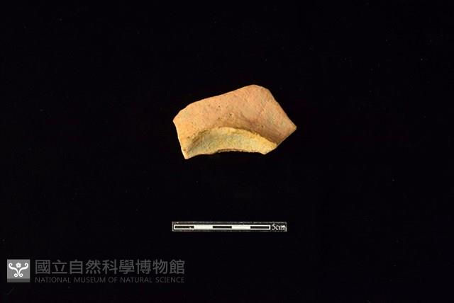 陶片藏品圖，第1張