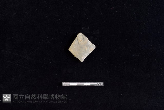 陶片藏品圖，第1張