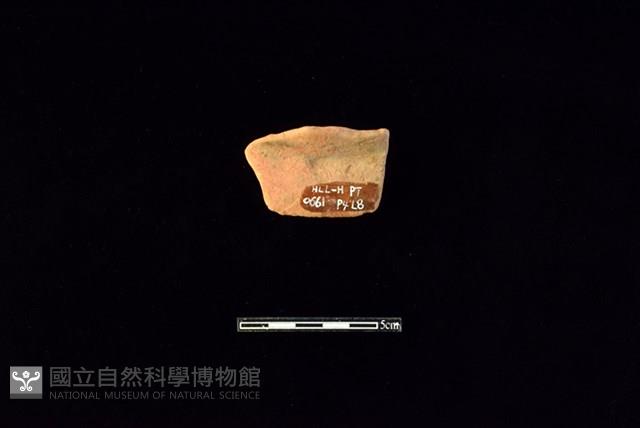 連杯形器藏品圖，第1張