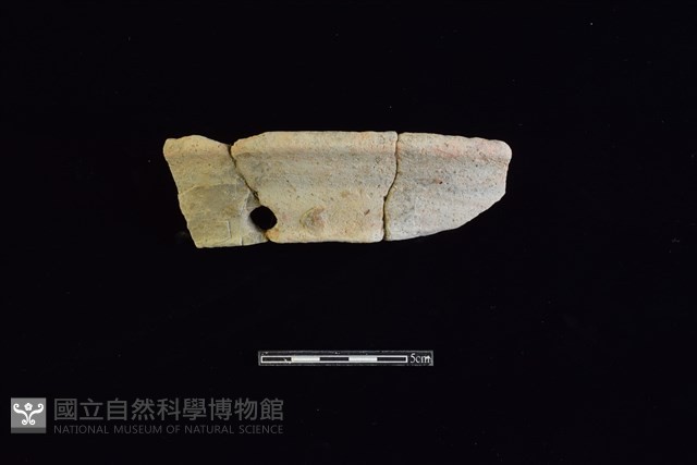 陶片藏品圖，第1張