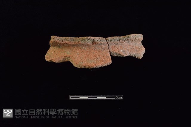 陶罐藏品圖，第1張