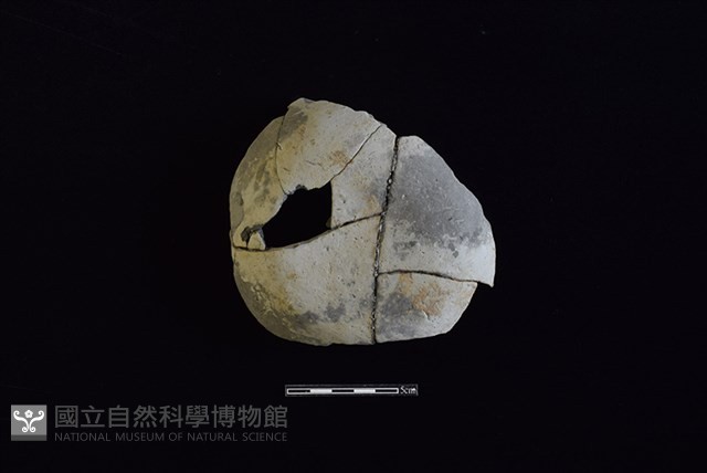 陶片藏品圖，第1張