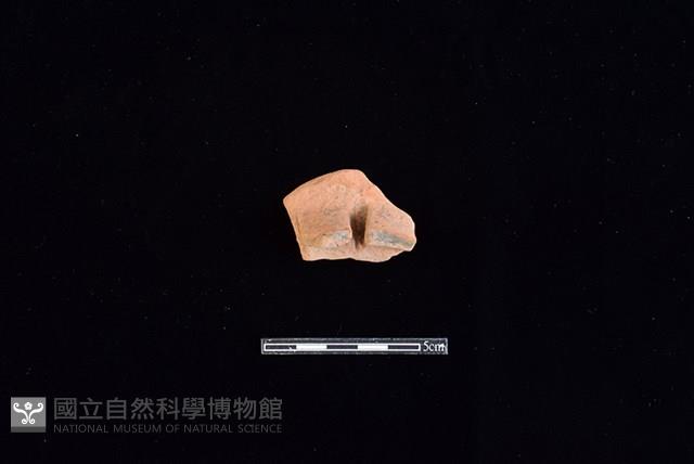 陶片藏品圖，第1張