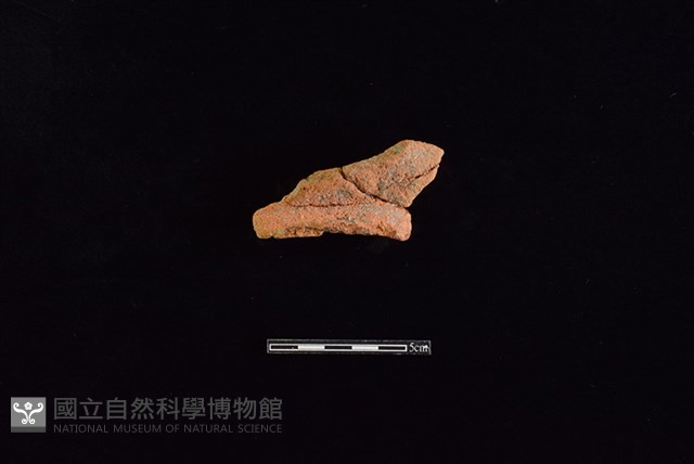 陶罐藏品圖，第1張