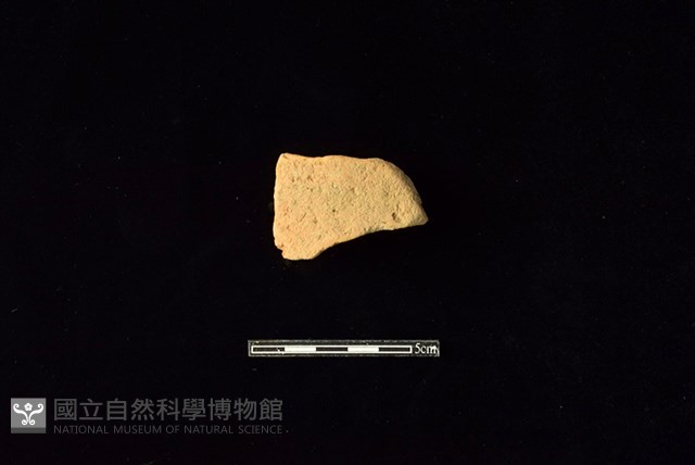 陶片藏品圖，第1張