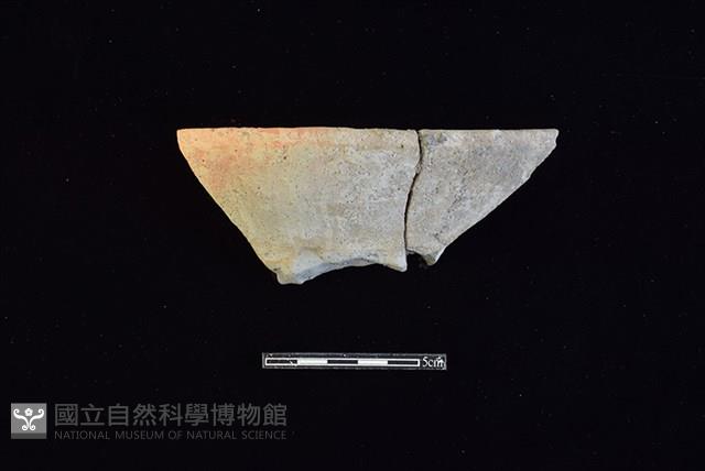 Accession Number:HLL-I-PT1561 Collection Image, Figure 1, Total 2 Figures