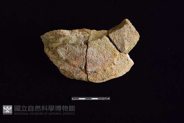 陶片藏品圖，第1張