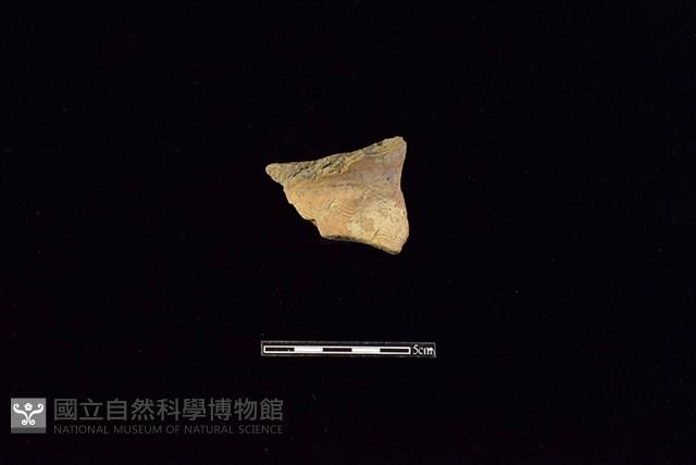 陶罐藏品圖，第1張