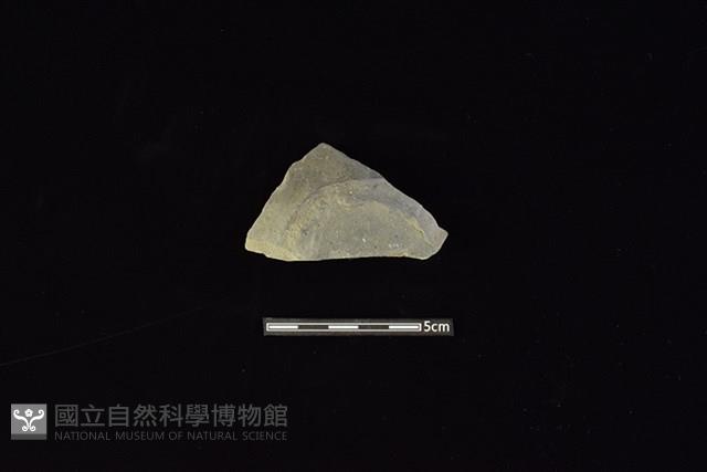 陶片藏品圖，第1張