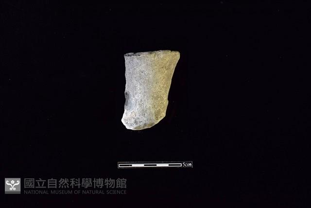 Accession Number:HLL-A PT0361 Collection Image, Figure 1, Total 2 Figures