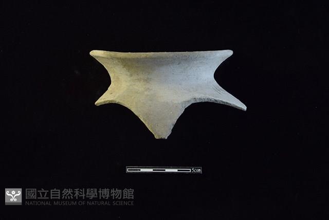 Accession Number:HLL-J PT1641 Collection Image, Figure 1, Total 2 Figures