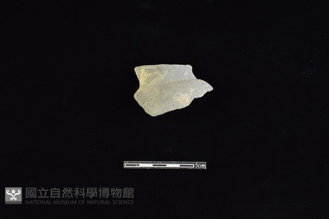陶罐藏品圖，第1張