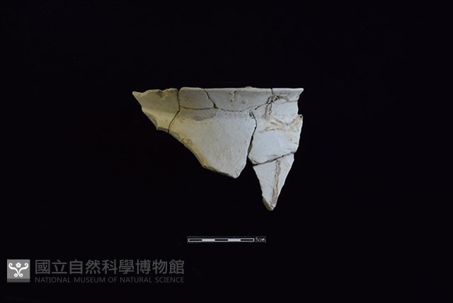 陶罐藏品圖，第1張