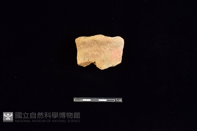陶片藏品圖，第1張