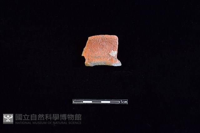 陶罐藏品圖，第1張