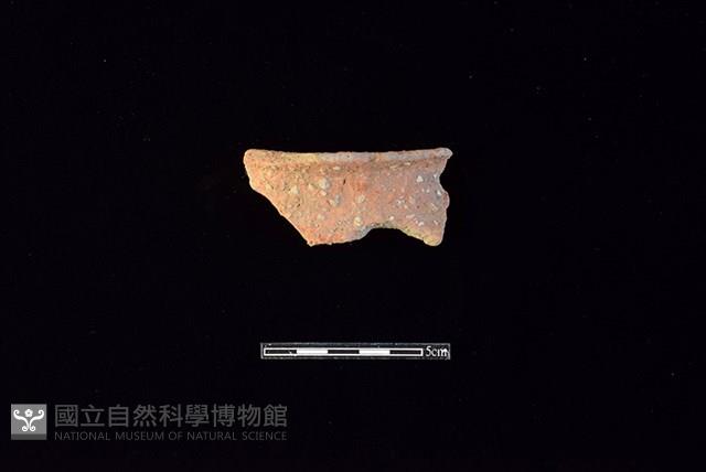 陶片藏品圖，第1張