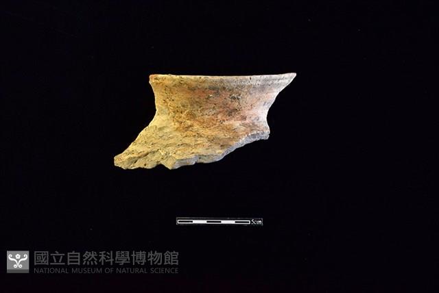 陶罐藏品圖，第1張