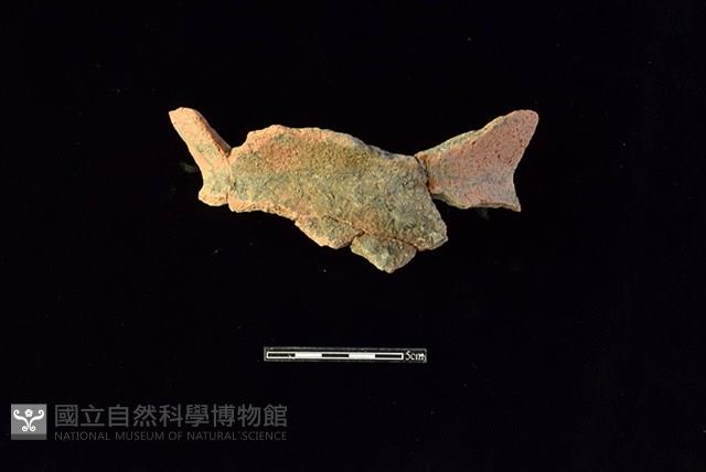 陶罐藏品圖，第1張