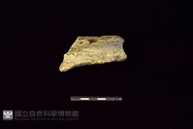 陶罐藏品圖，第1張