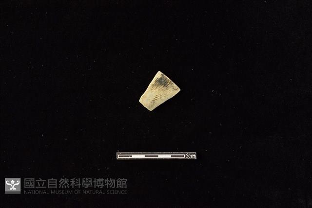 陶片藏品圖，第1張