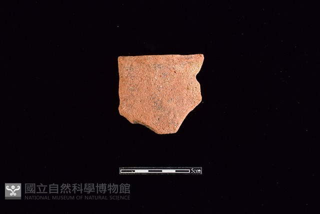 陶片藏品圖，第1張