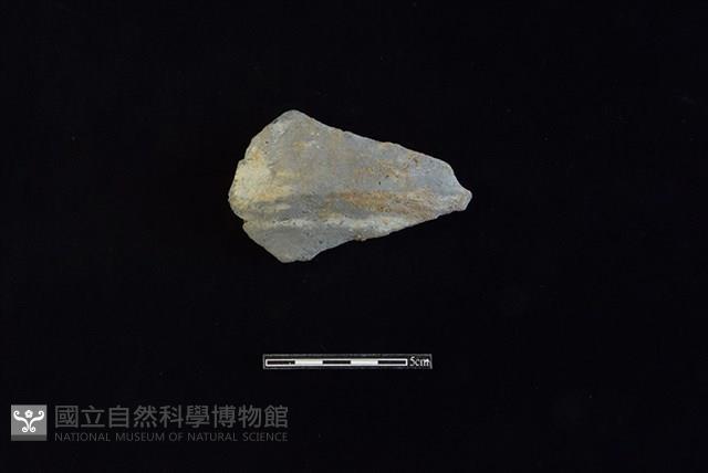 陶片藏品圖，第1張