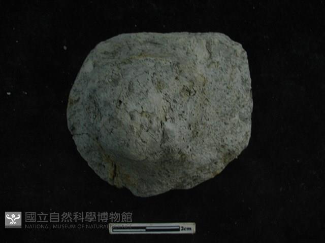 陶鈕藏品圖，第1張