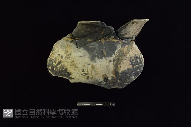 陶罐藏品圖，第1張