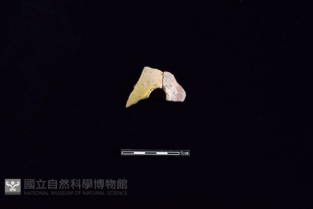 陶甑藏品圖，第1張