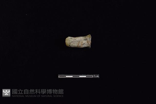 陶把藏品圖，第1張