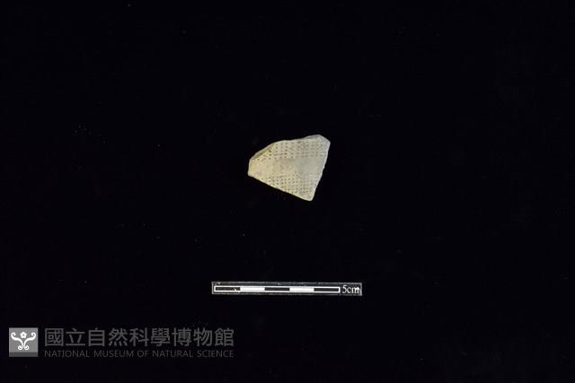 陶片藏品圖，第1張