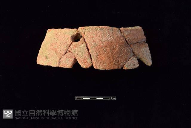 陶片藏品圖，第1張