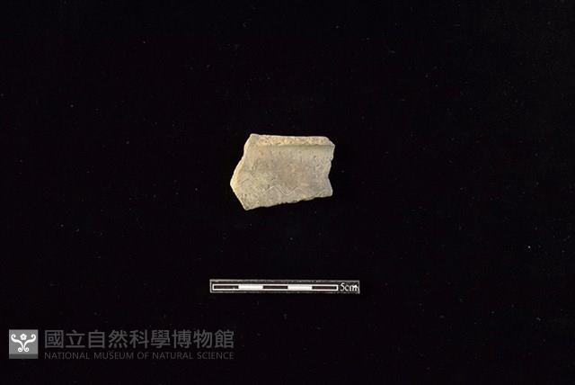 陶罐藏品圖，第1張