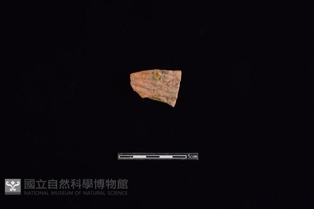 Accession Number:HLL-L-PT0181 Collection Image, Figure 1, Total 2 Figures