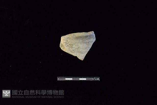 陶罐藏品圖，第1張