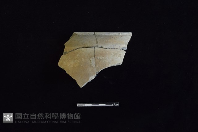 陶罐藏品圖，第1張
