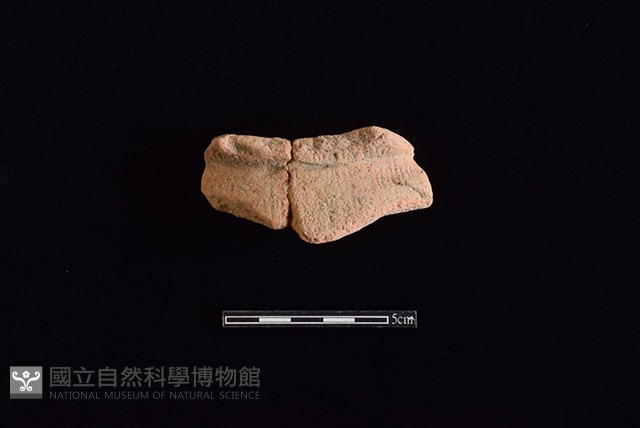 陶罐藏品圖，第1張