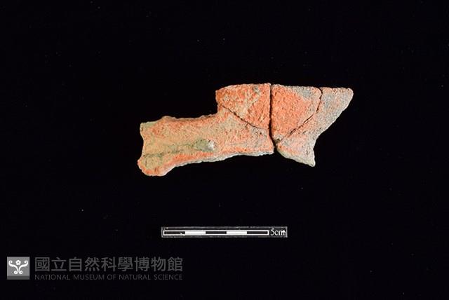 Accession Number:HLL-H PT0981 Collection Image, Figure 1, Total 2 Figures