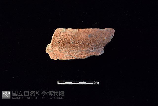 陶罐藏品圖，第1張