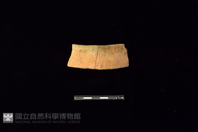 陶片藏品圖，第1張