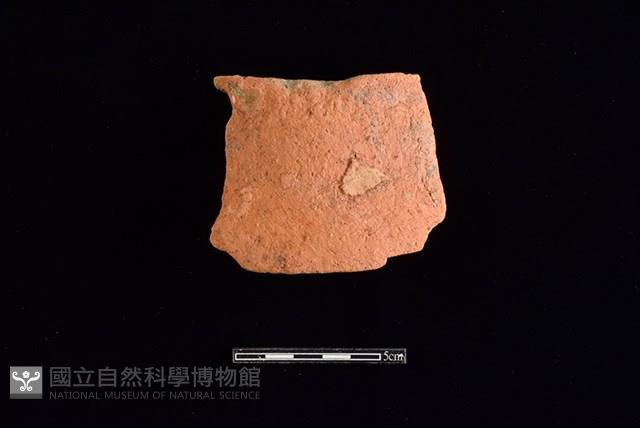 陶片藏品圖，第1張