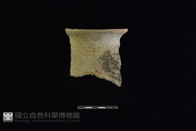 陶罐藏品圖，第1張
