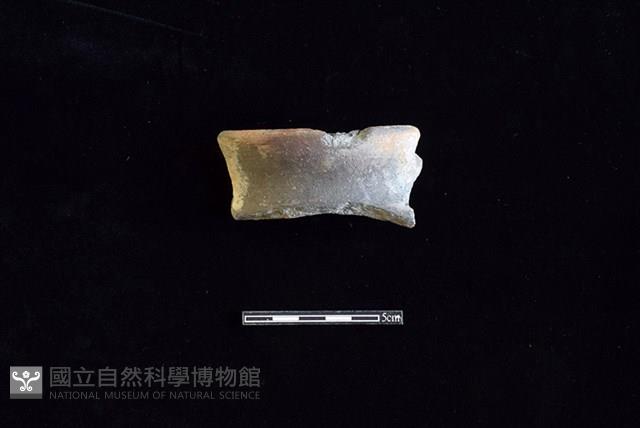 陶罐藏品圖，第1張