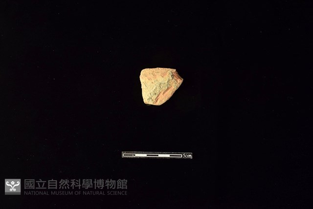 陶片藏品圖，第1張