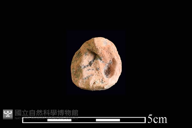 陶紡輪藏品圖，第1張