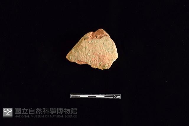 陶片藏品圖，第1張