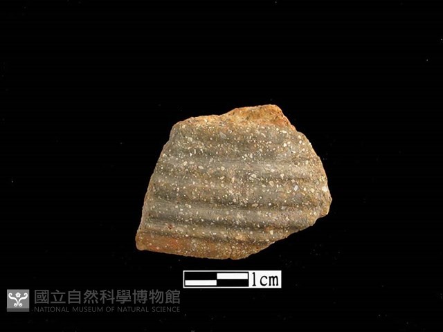 陶缽藏品圖，第1張