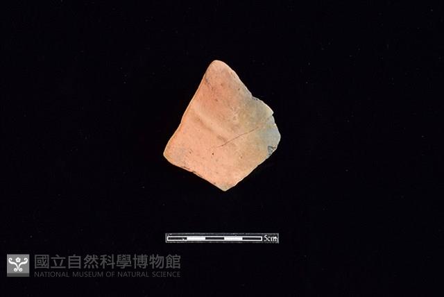 連杯形器藏品圖，第1張