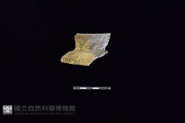 陶罐藏品圖，第1張